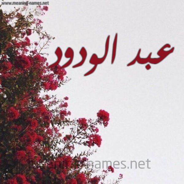 شكل 18 صوره الورد الأحمر للإسم بخط رقعة صورة اسم عبد الودود ABD-ALODOD